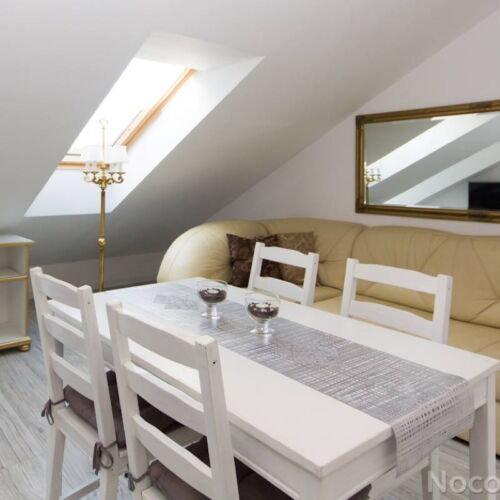 Apartament 5-osobowy z prysznicem z 1 pomieszczeniem sypialnianym