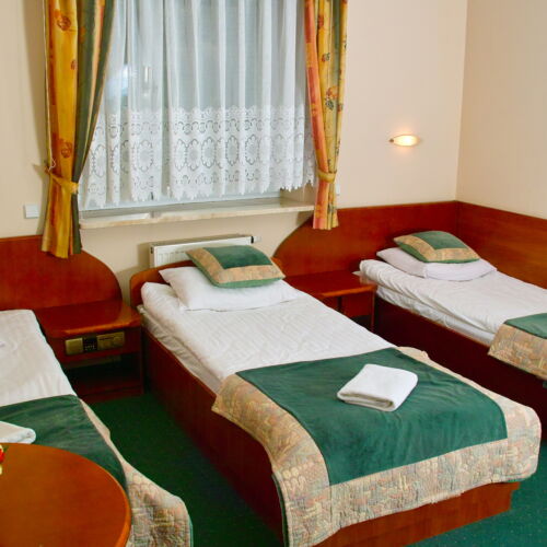 Pokój 3-osobowy z łazienką z widokiem na las