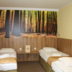 Erdőre néző fürdőszobás háromágyas szoba (pótágyazható)