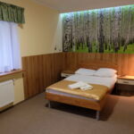 1-Zimmer-Apartment für 2 Personen mit Badezimmer und Aussicht auf den Wald