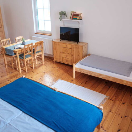 Pokoj se sprchou  pro 3 os.