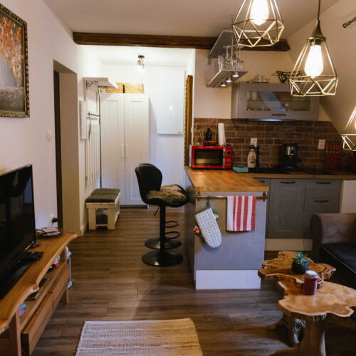 Camera twin family cu duș (se poate solicita pat suplimentar)