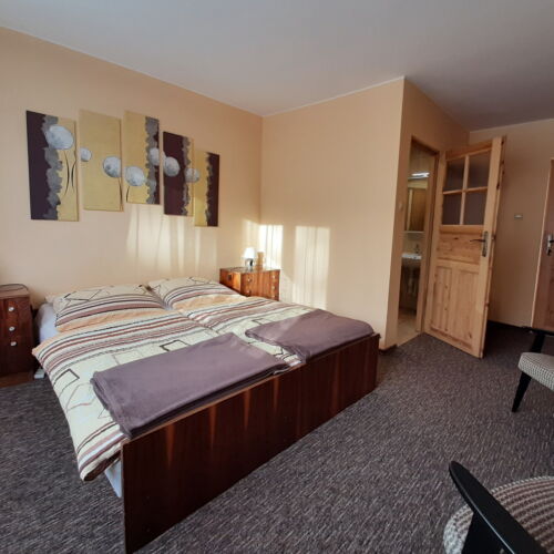 Pokój 2-osobowy z widokiem na góry