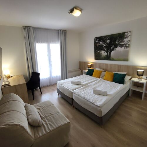 Camera twin (se poate solicita pat suplimentar)