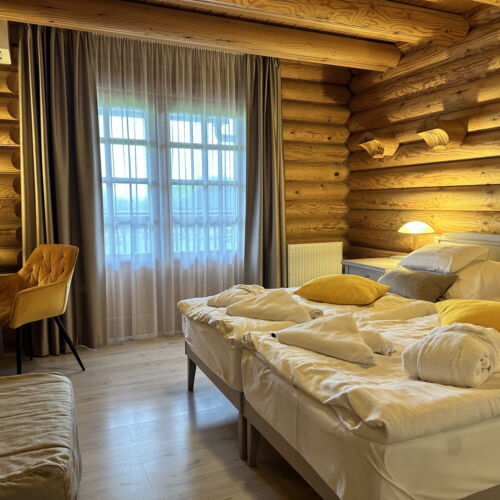 Camera twin (se poate solicita pat suplimentar)