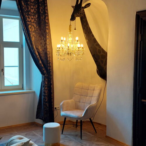 Apartament cu duș cu chicinetă proprie pentru 2 pers. (se poate solicita pat suplimentar)