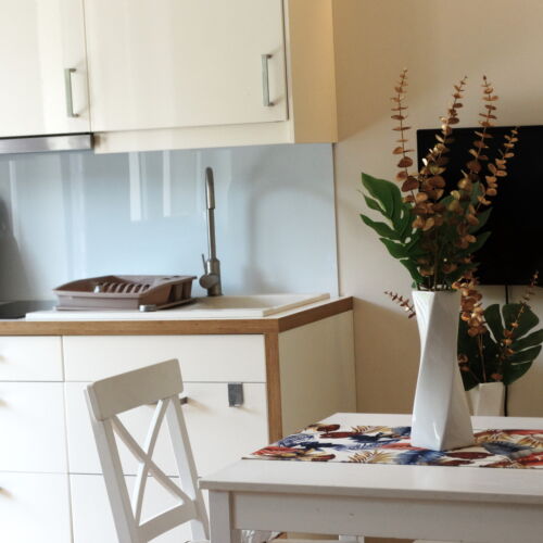 1-Room Family Apartment for 4 Persons with LCD/Plasma TV (extra bed available)