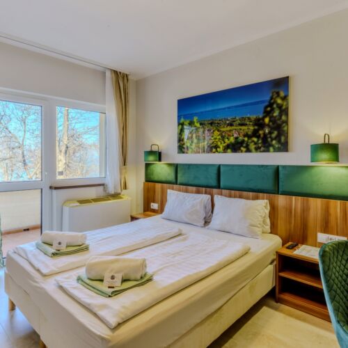 Pokój 2-osobowy Deluxe z widokiem na park