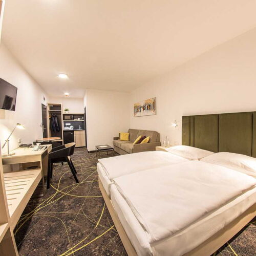 Comfort Double Room with Shower (extra bed available)