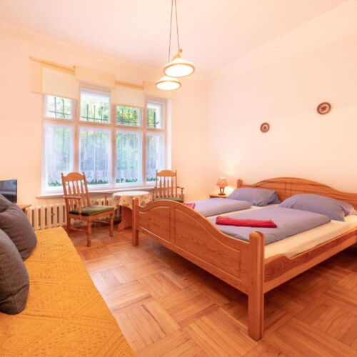 Camera dubla la parter cu vedere spre grădină