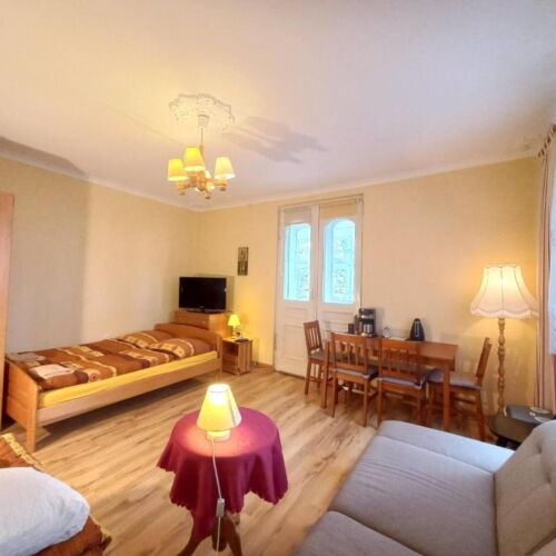 Camera cvadrupla cu chicinetă proprie cu vedere spre munte