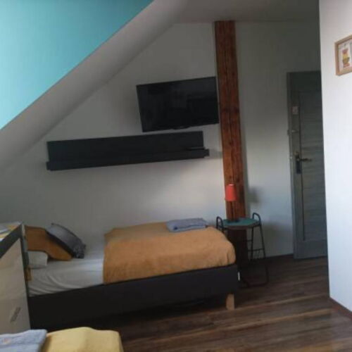 Camera twin cu duș cu grădină