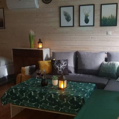 Domek drewniany 4-osobowy z prysznicem z dostępem do ogrodu