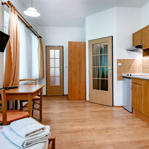 Studio Pokoj se sprchou pro 2 os.