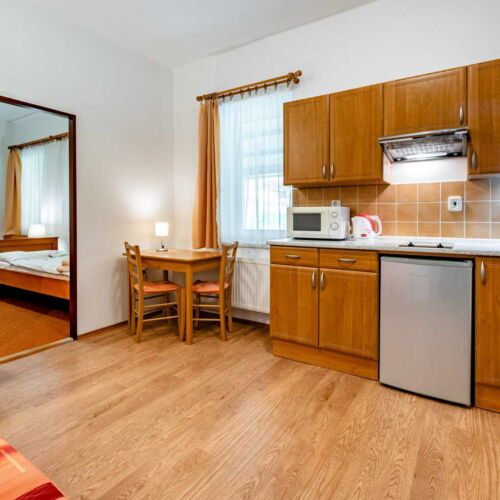 Pokoj se sprchou s vlastní kuchyňkou pro 3 os. (s možností přistýlky)