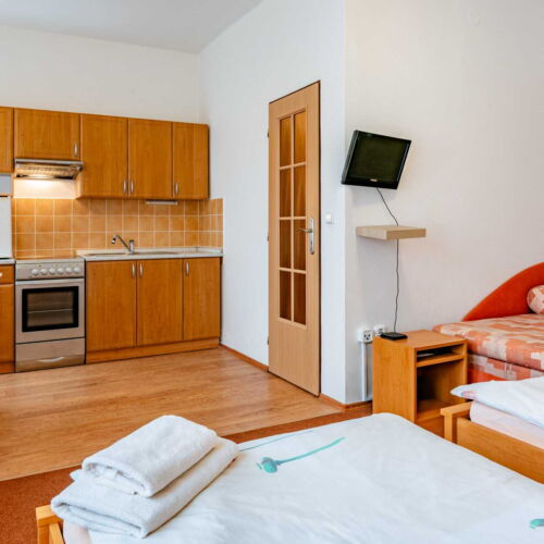 Pokoj se sprchou s vlastní kuchyňkou pro 3 os.
