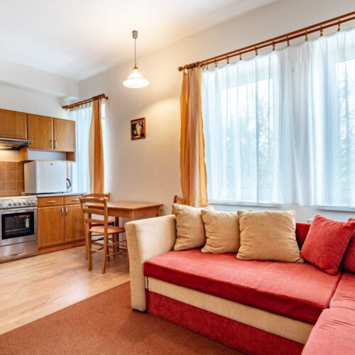 Pokoj se sprchou s vlastní kuchyňkou pro 4 os. (s možností přistýlky)