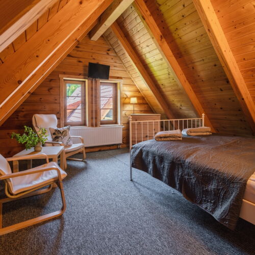 Apartament 5-osobowy na poddaszu z widokiem na rzekę z 1 pomieszczeniem sypialnianym