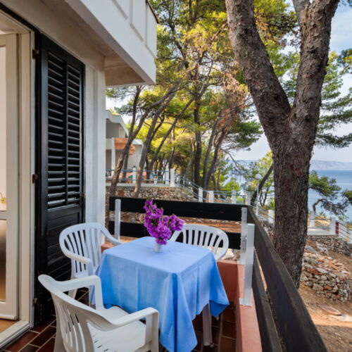 Apartament confort family cu 1 camera pentru 3 pers.