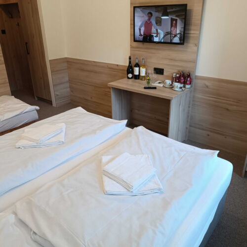 Deluxe Pokoj se sprchou pro 3 os.