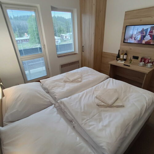 Deluxe Pokoj se sprchou pro 4 os.