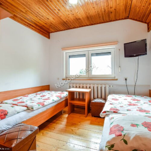 Pokój 1-osobowy z prysznicem z dostępem do ogrodu (możliwa dostawka)