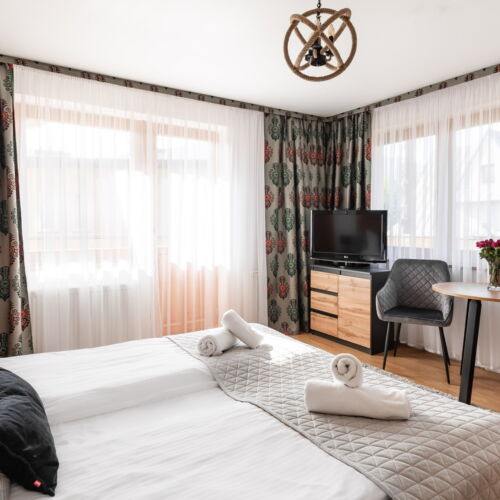 Mountain View Double Room