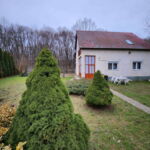 Forest View Whole House 4-Room Apartment for 9 Persons