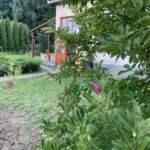 Erdőre néző földszintes 5 fős apartman 3 hálótérrel