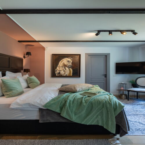 Camera dubla exclusive