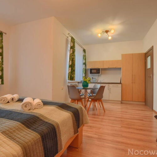 Apartament 4-osobowy z dostępem do ogrodu z widokiem na góry z 1 pomieszczeniem sypialnianym