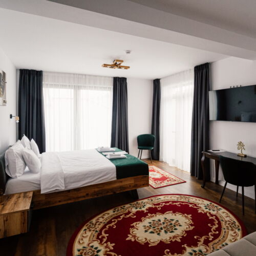 Camera cvadrupla studio cu terasă