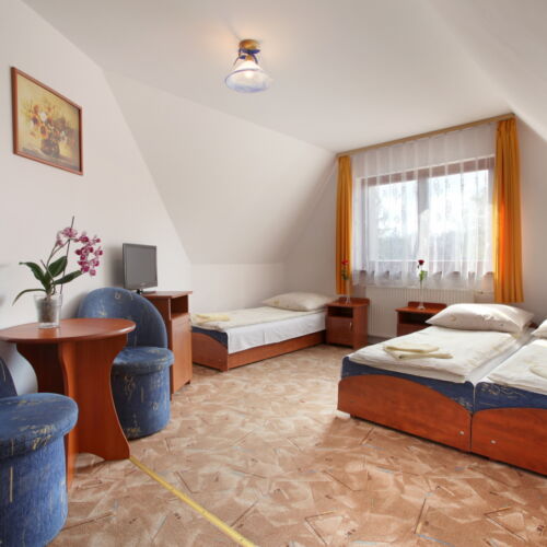 Pokój 3-osobowy z prysznicem z dostępem do ogrodu