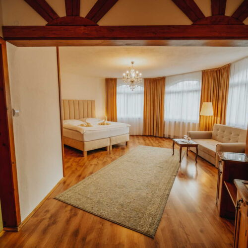 Camera twin cu duș (se poate solicita pat suplimentar)