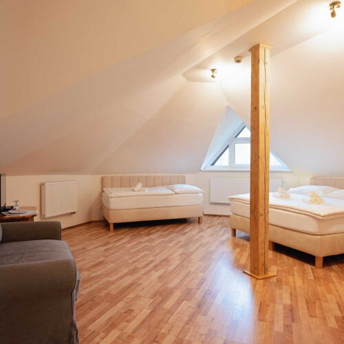 Camera tripla cu duș (se poate solicita pat suplimentar)