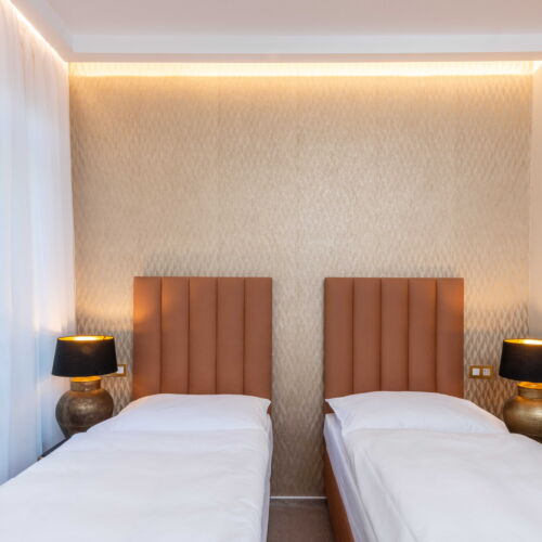 Camera  business twin