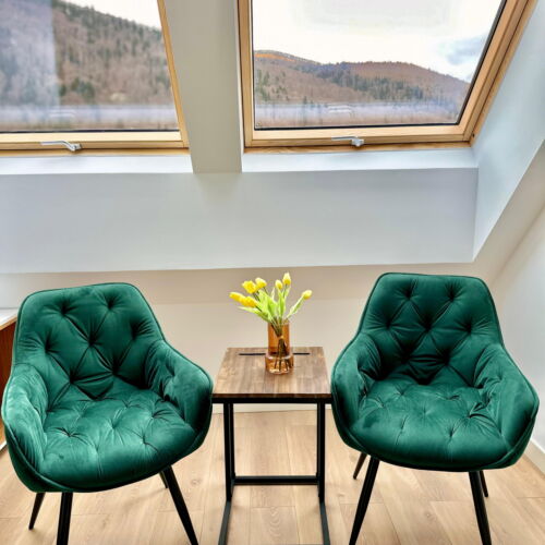 Apartament penthouse cu vedere spre munte pentru 5 pers. (se inchirieaza doar integral)