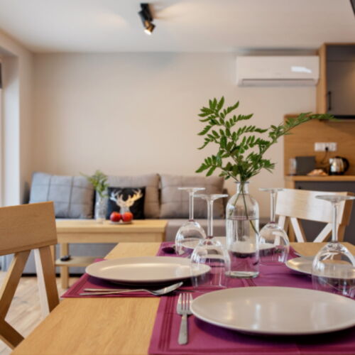 Apartament 4-osobowy z dostępem do ogrodu z widokiem na góry