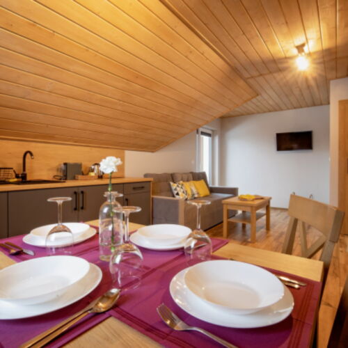 Apartament 4-osobowy z dostępem do ogrodu z widokiem na góry