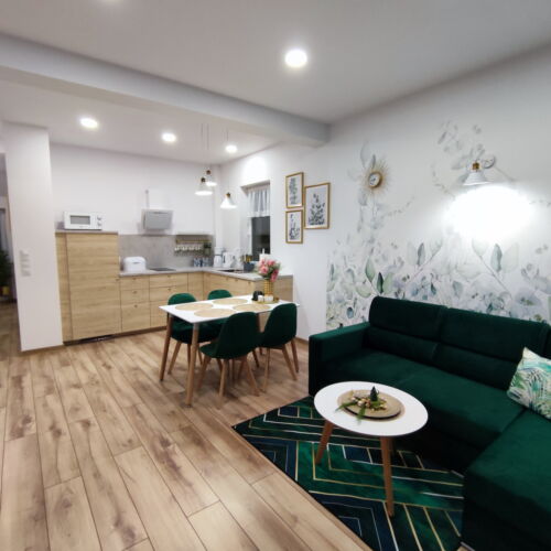 Apartament cu duș cu grădină cu 2 camere pentru 4 pers.