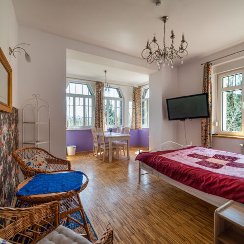 Studio Apartman s manželskou postelí s 1 ložnicí s panoramou