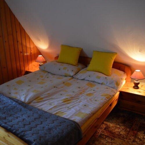 Camera dubla la etaj cu vedere spre grădină