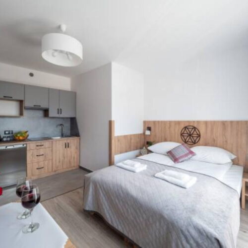 Apartament 2-osobowy z aneksem kuchennym z widokiem na góry z 1 pomieszczeniem sypialnianym