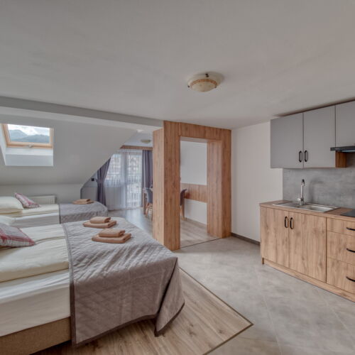 Apartament 3-osobowy z balkonem z aneksem kuchennym z 1 pomieszczeniem sypialnianym