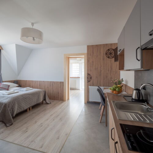 Apartament 4-osobowy z aneksem kuchennym z widokiem na góry z 2 pomieszczeniami sypialnianymi