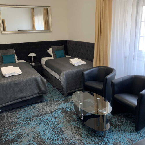 Superior Pokoj se sprchou pro 2 os.