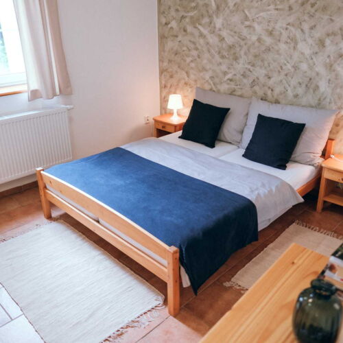 Pokoj se sprchou  s manželskou postelí