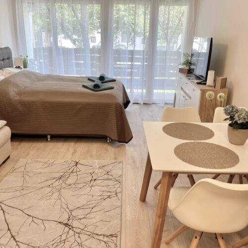 Ground Floor 1-Room Apartment for 4 Persons with Terrace