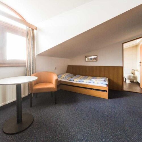 Izba so sprchou  pre 1 os. (s možnosťou prístelky)