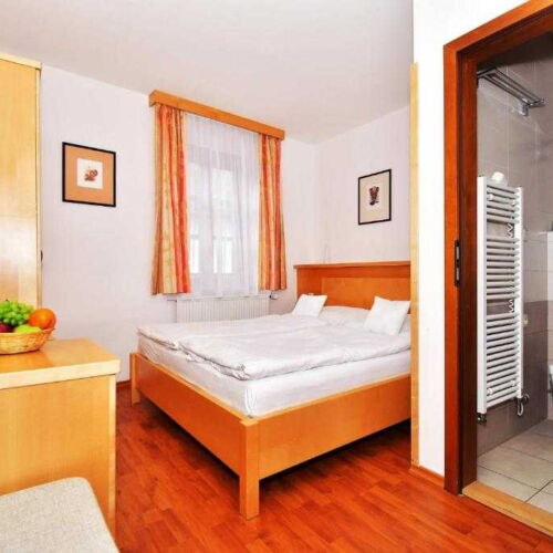 Pokoj se sprchou  s manželskou postelí